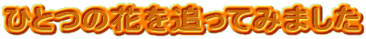 ЂƂ̉ԂǂĂ݂܂
